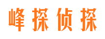 洪湖寻人公司